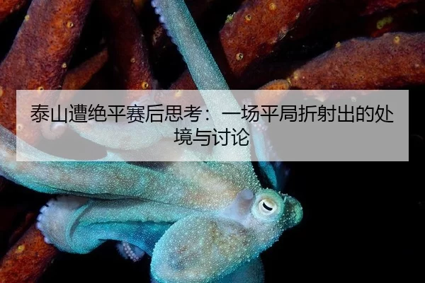 tai-shan-zao-jue-ping-sai-hou-si-kao-yi-chang-ping-ju-zhe-she-chu-de-chu-jing-yu-tao-lun-2-714.jpg